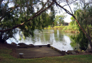 forest lake park walking running jogging1