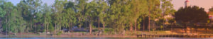 header test 4 01